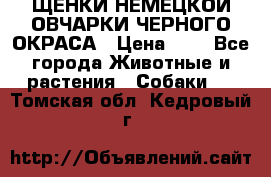 ЩЕНКИ НЕМЕЦКОЙ ОВЧАРКИ ЧЕРНОГО ОКРАСА › Цена ­ 1 - Все города Животные и растения » Собаки   . Томская обл.,Кедровый г.